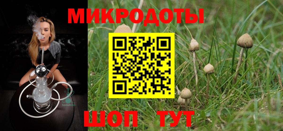 Галлюциногенные грибы мухоморы Бузулук