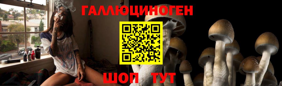 Галлюциногенные грибы прущие грибы  Вход с VPN  Бузулук 